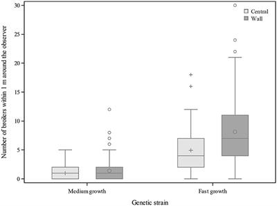 Animal Welfare Assessment: Quantifying Differences Among Commercial Medium and Fast Growth Broiler Flocks